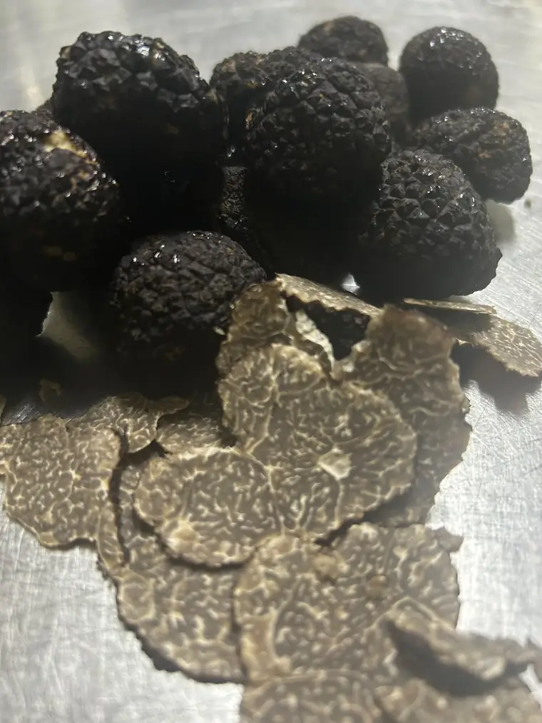 Trufa negra