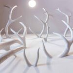 Fonda Farré bar-12